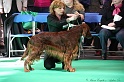 Crufts2011 577